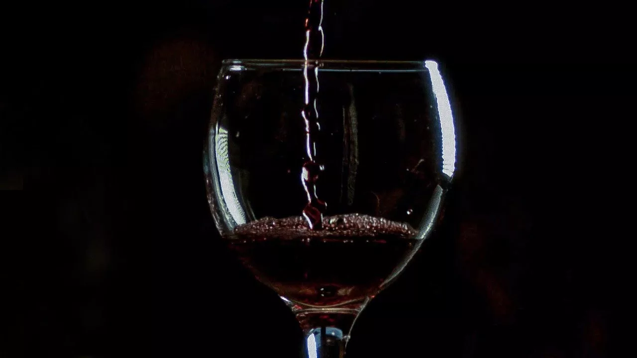 레드 와인의 과학: 레드 와인의 놀라운 건강상의 이점과 잠재적인 위험